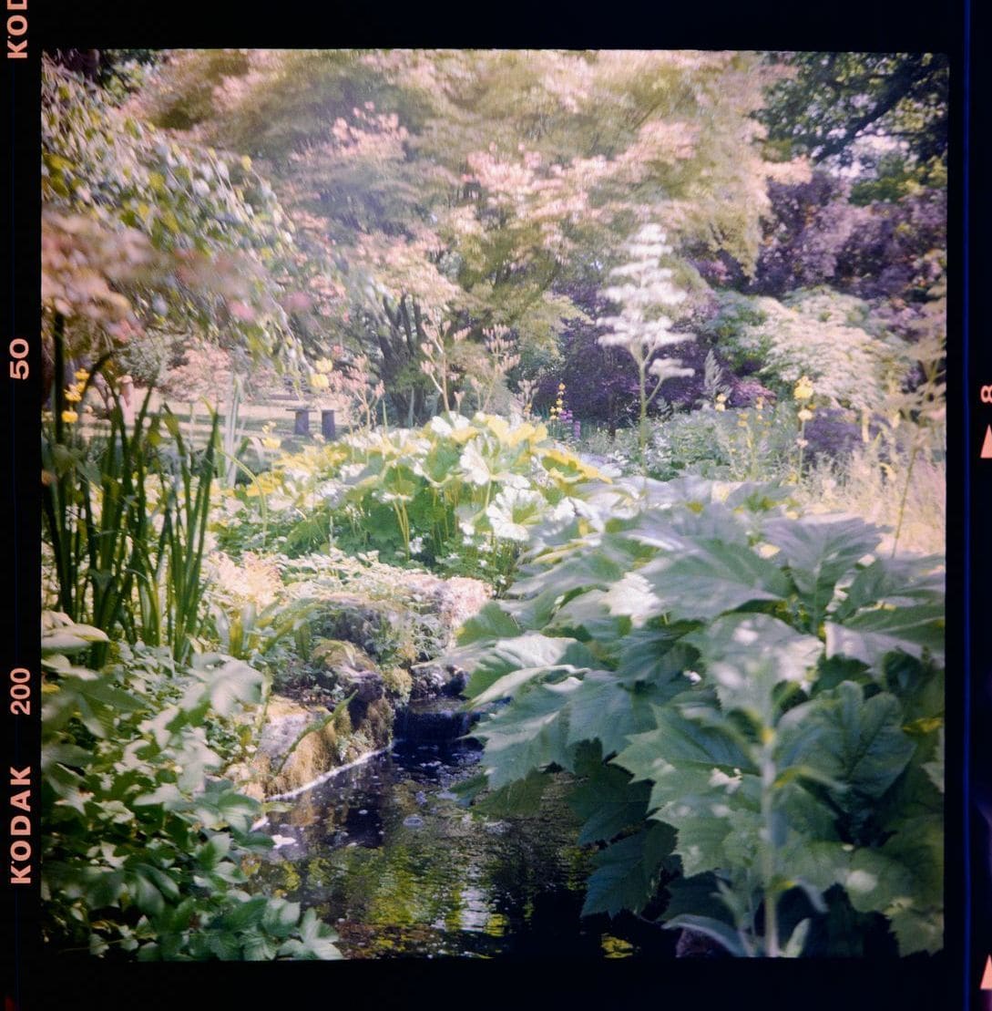 Seasonal Garden Refresh Workflow
