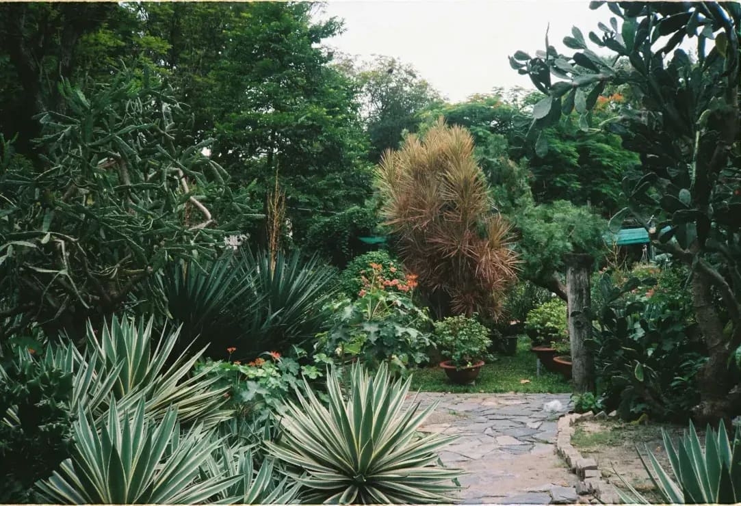Lawn and garden maintenance