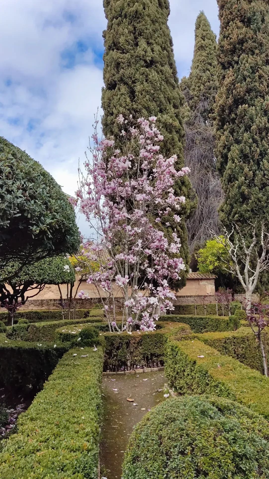 Seasonal planting and flower bed design