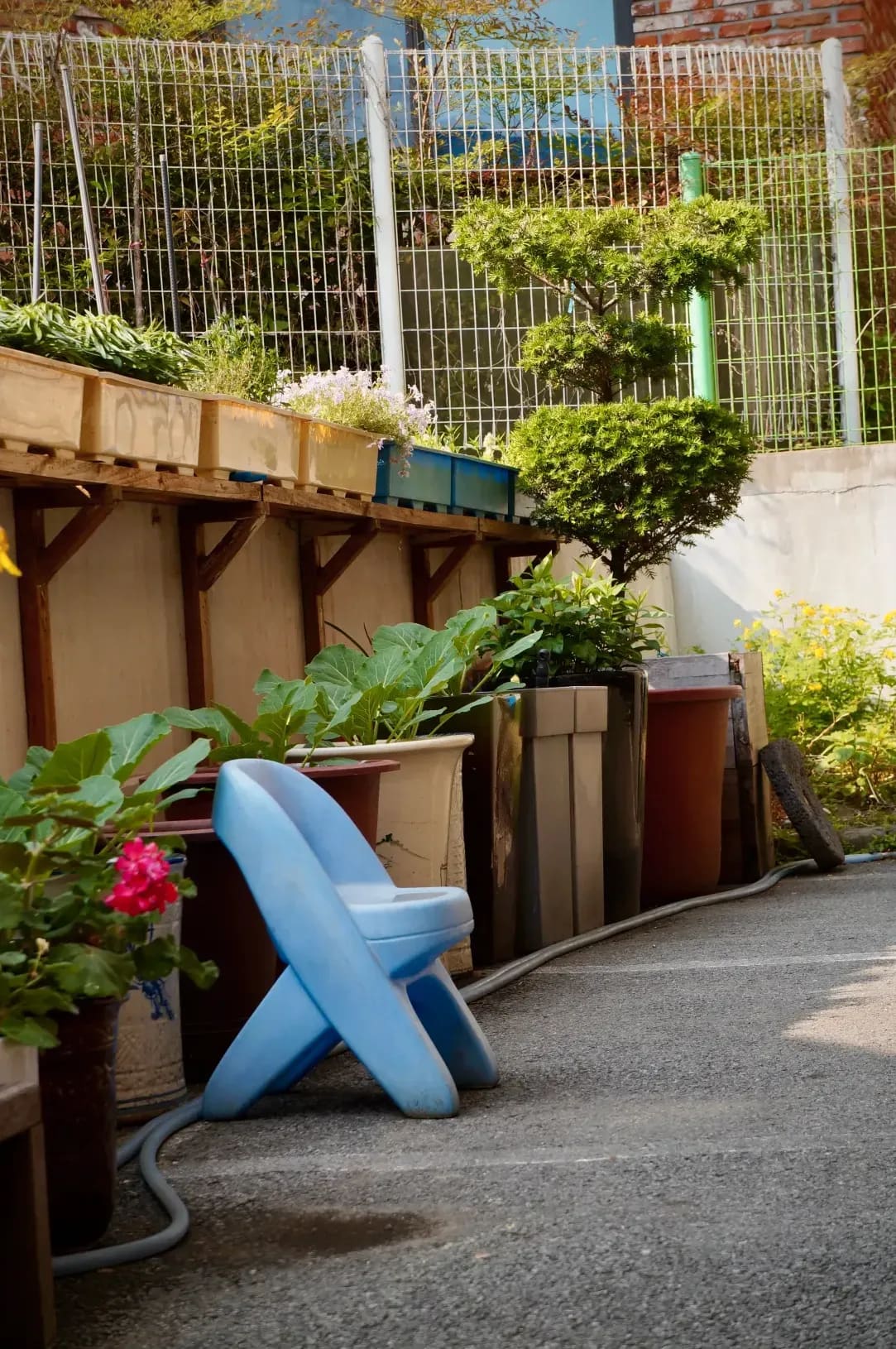 Mulching and soil enrichment